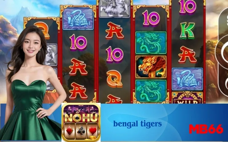 bengal tigers